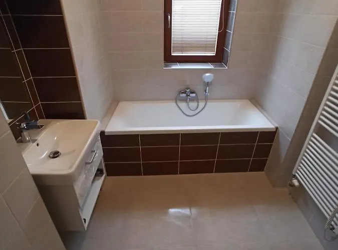 U Lva Apartament *